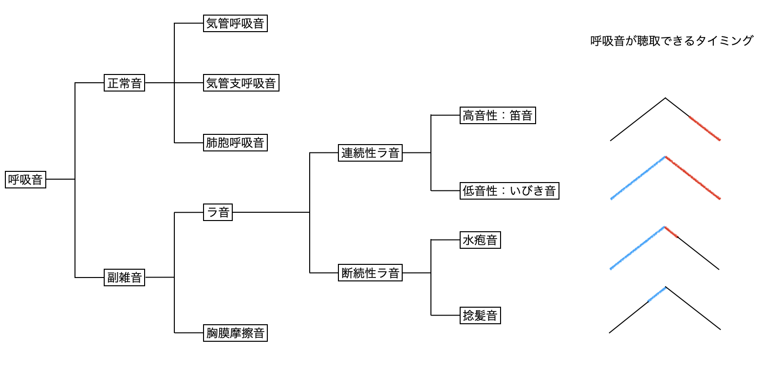 薬剤師も看護師も集まれ 呼吸音の種類と原因疾患を解説 Takuyan S Blog